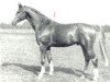 stallion Glistan (Brandenburg, 1983, from Glimmer)