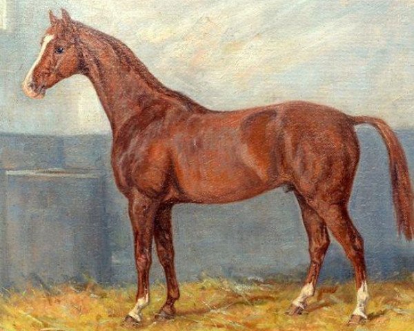 horse Champagner (Trakehner, 1919, from Nana Sahib 1900 AA)