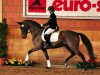 dressage horse La Fariah (Rhinelander, 2009, from Lord Loxley I)