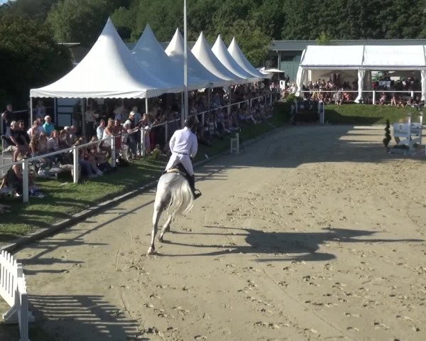 Bergisch Classics - Bergisch Gladbach - Springen 2021