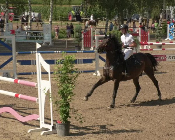 Springturnier und Reiterfest Königsbach 2021