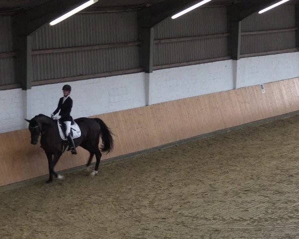 Reitturnier Datteln 2021