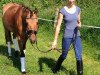 dressage horse Goldi (German Riding Pony, 2011, from Garfield)