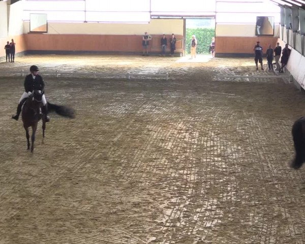 Reitturnier Datteln 2021