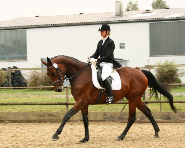 broodmare Sarina (German Sport Horse, 2005, from Samaro)