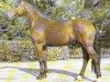 stallion Wendelin I (Hanoverian, 1974, from Wendekreis)
