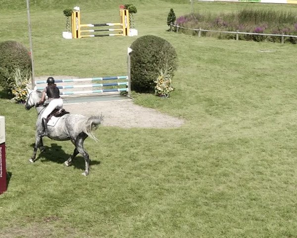 Springkonkurrenz Aadorf 2021