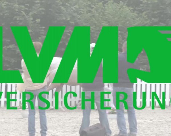 Stuten- und Fohlenschau in Herford 2016