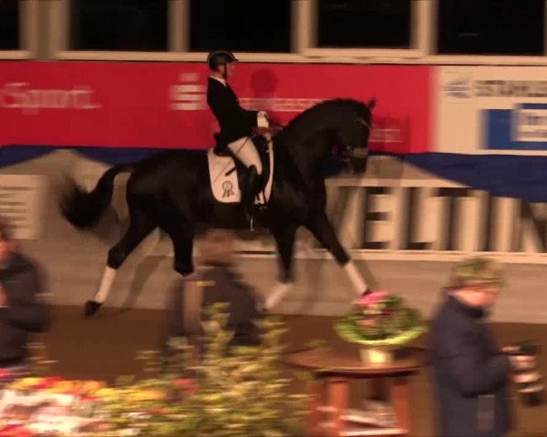Hengstschau Holkenbrink 2017