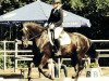 dressage horse Rosentraum 7 (Hessian Warmblood, 2001, from Rosenduft)