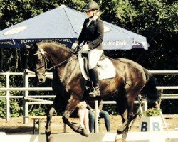 dressage horse Rosentraum 7 (Hessian Warmblood, 2001, from Rosenduft)