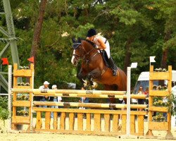 jumper Sandy K (Hanoverian, 2003, from San Brasil)