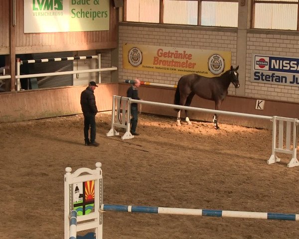 Freispringwettbewerb Delbrück-Ostenland 2017