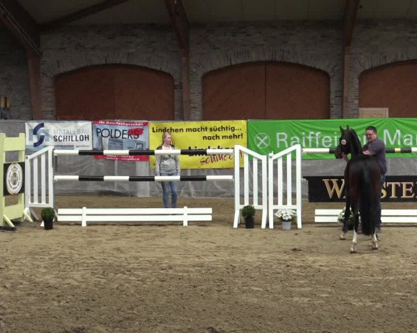 NRW Freispringchampionat Finale 2017