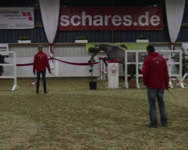 Finale Freispringwettbewerb Westfalen 2017