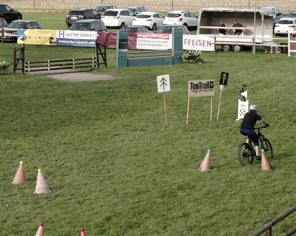 Springkonkurrenz Aadorf 2021