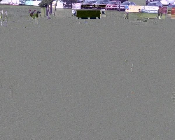 Springkonkurrenz Aadorf 2021