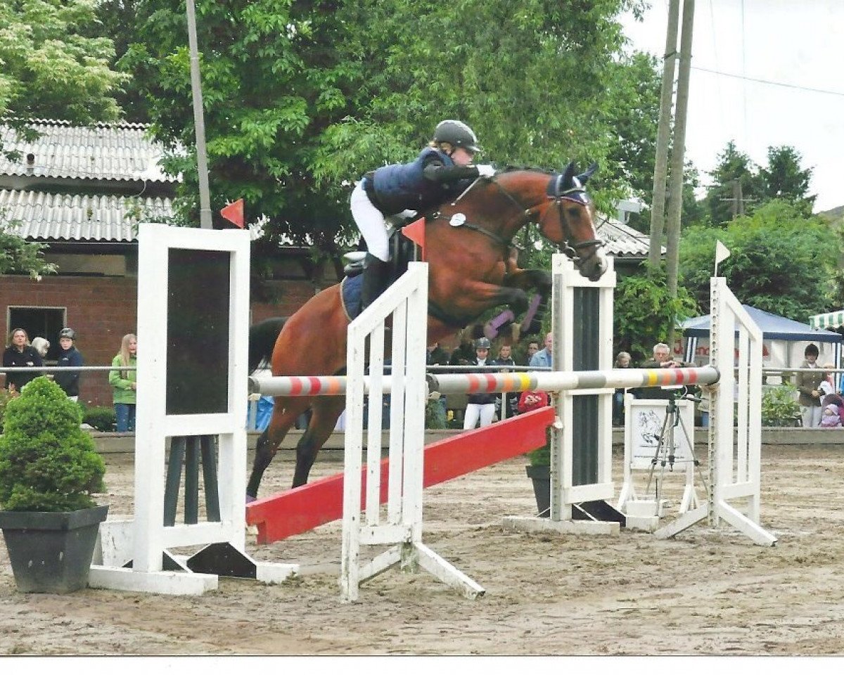 broodmare Alinde 10 (KWPN (Royal Dutch Sporthorse), 2005, from Hbc Regilio)