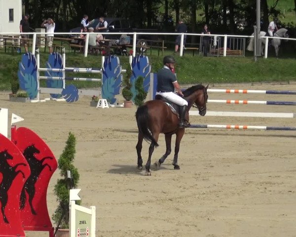 Bergisch Classics - Bergisch Gladbach - Springen 2021