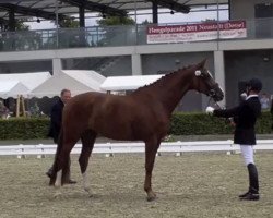 broodmare Rawenna 6 (German Sport Horse, 2007, from Relius)