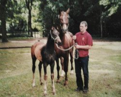 broodmare Whadi Sa (Hanoverian, 1993, from Walt Disney II)