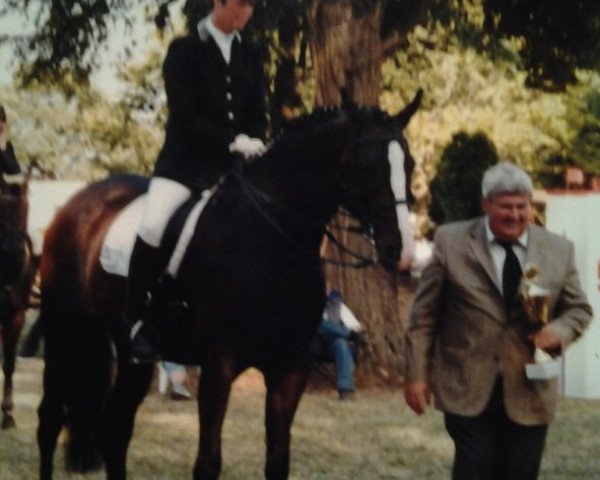 broodmare Nairoby (Saxony-Anhaltiner, 1995, from Nationalelan)