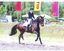 dressage horse Dawinja (German Sport Horse, 2003, from Donnersmarck)