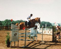 horse Mistral (Noble Warmblood, 1989, from Midas xx 1434)