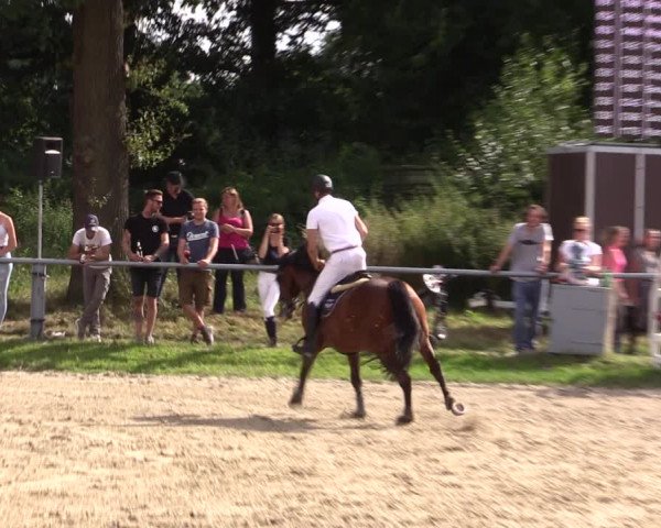 Reitturnier Datteln 2021