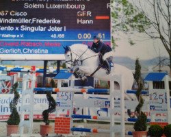 jumper Cisco 169 (Hanoverian, 2003, from Cento)