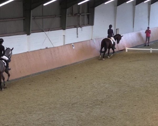 Reitturnier Datteln 2021
