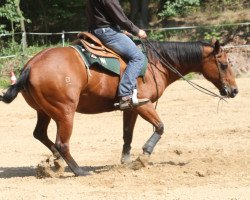 Pferd Kaliz Dry (Quarter Horse, 2001, von Muey Kali Guy)