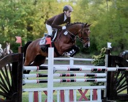 jumper Nemo KG (German Riding Pony, 2003, from Nantano)