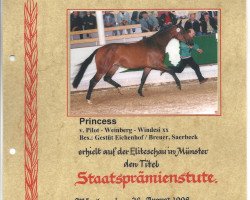 broodmare Princess E (Westphalian, 1995, from Pilot)