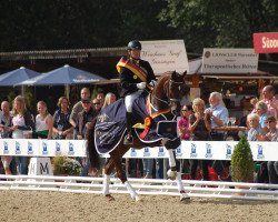 broodmare Special Diva (Oldenburg, 2011, from Sir Donnerhall I)