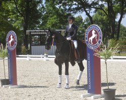 dressage horse Hitline (Oldenburg, 2007, from Hotline)