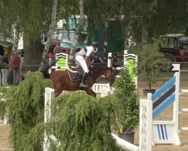 Springturnier und Reiterfest Königsbach 2021