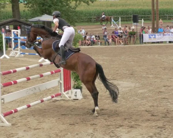 Springturnier und Reiterfest Königsbach 2021