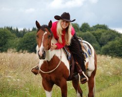 Pferd Bastars little Shadow (Paint Horse, 2007, von Cherokee Blanca)