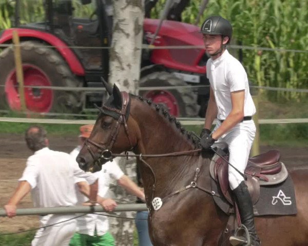 Springturnier und Reiterfest Königsbach 2021