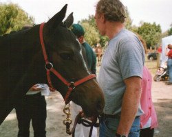 broodmare La Luna (Rhinelander, 2004, from Louis le Bon)