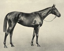 broodmare Keysoe xx (Thoroughbred, 1916, from Swynford xx)