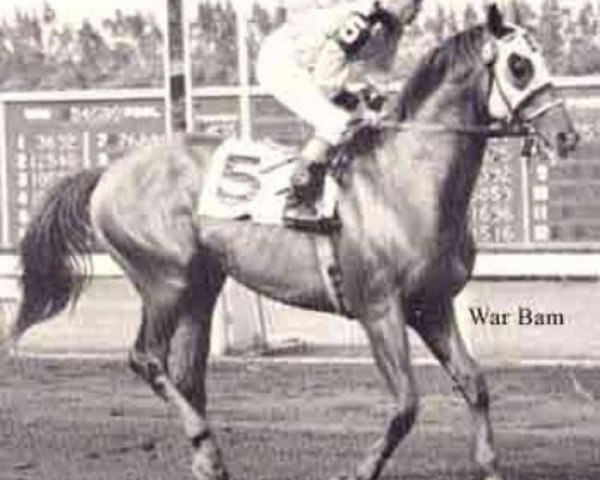 stallion War Bam xx (Thoroughbred, 1939, from War Glory xx)