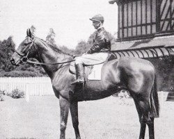 stallion Mustang xx (Thoroughbred, 1941, from Mieuxce xx)