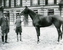 broodmare Corrida xx (Thoroughbred, 1932, from Coronach xx)