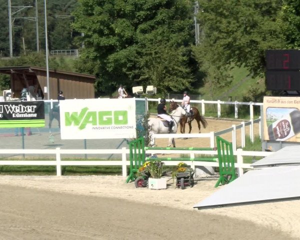 Pferdesporttage Rafzerfeld - Hüntwangen 2021