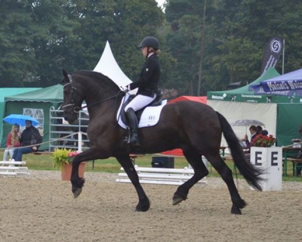 horse Peeke vom Lohorst (Friese, 2005, from Mintse 384)
