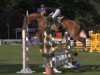 broodmare Chacstara 2 (Oldenburg show jumper, 2008, from Chacco-Blue)