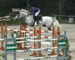 jumper Willem Corland (KWPN (Royal Dutch Sporthorse), 2003, from Corland)