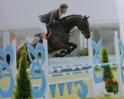 jumper Watch Out 8 (Oldenburg show jumper, 2009, from Winningmood van de Arenberg)